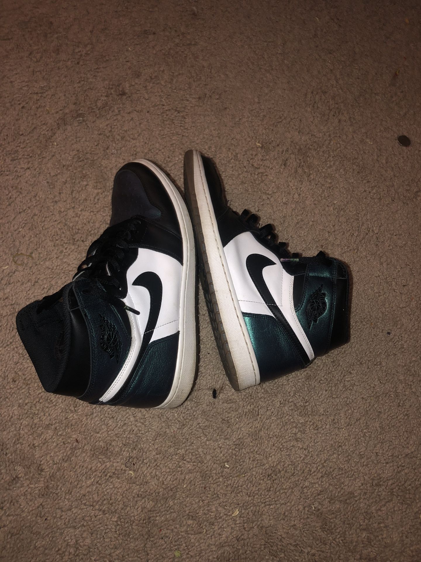 Chameleon 1’s Sz 12