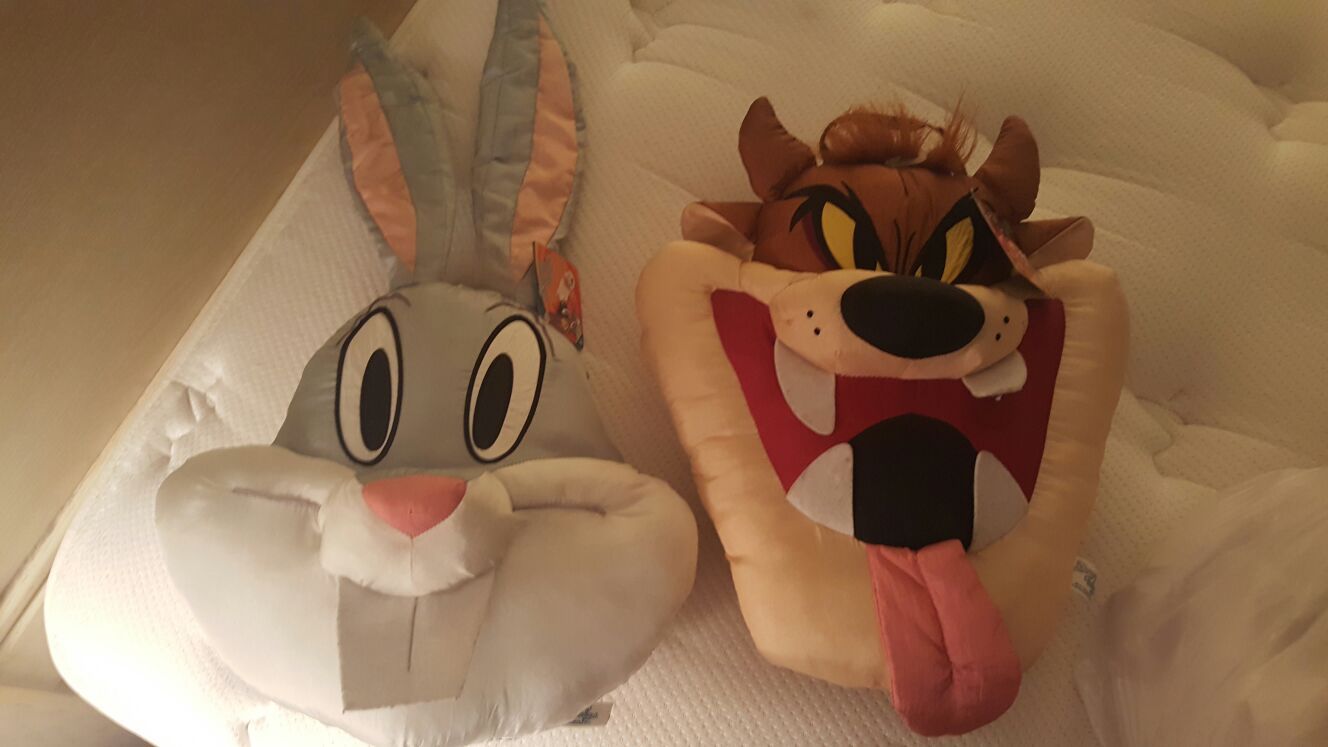 Looney Tunes pillow like