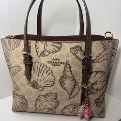 Coach Mollie 25 Tote Shell