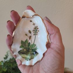 Dark academia Mushroom Oyster shell - trinket dish