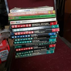 Chilton Repair Manual 