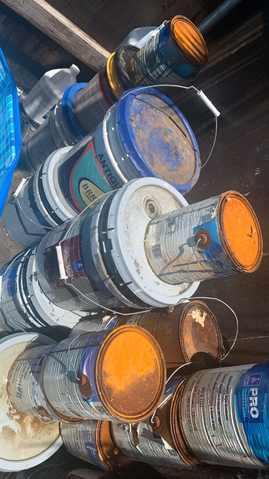 Free Paint