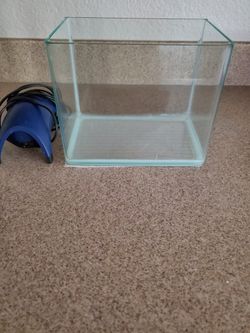 Small fish tank and air pump.
