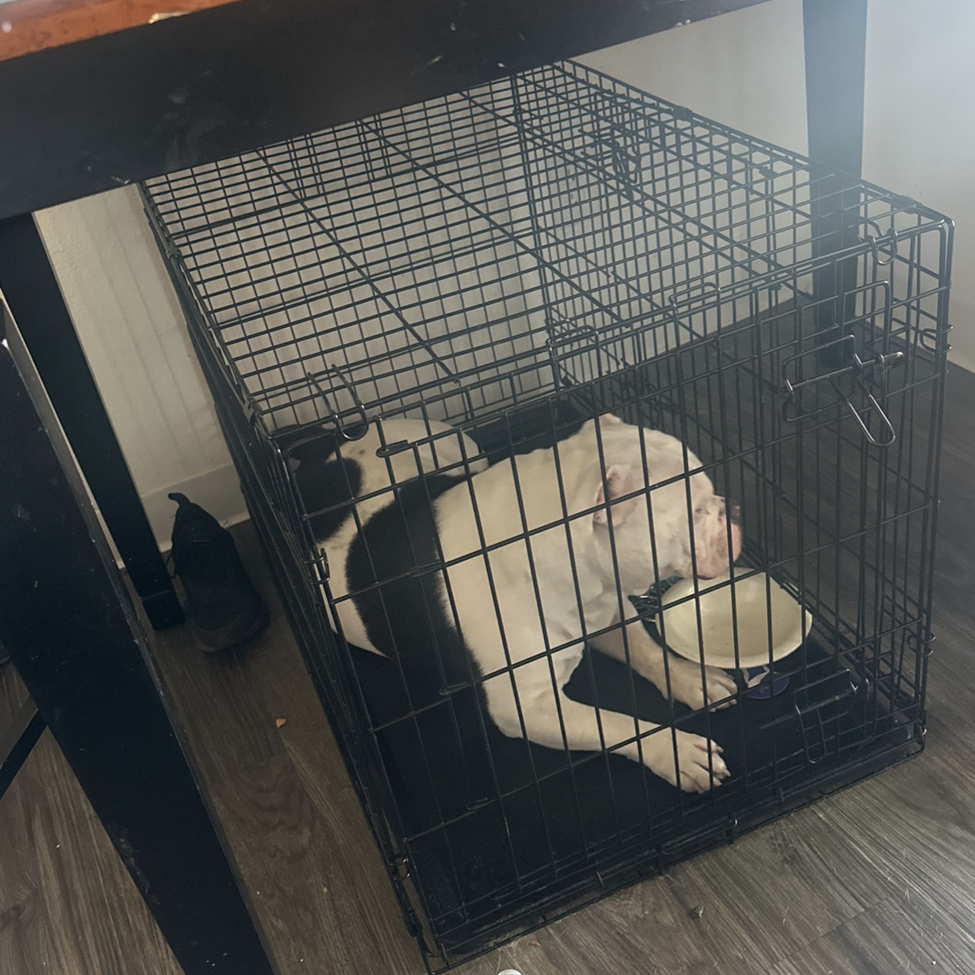 Dog Cage/Kennel
