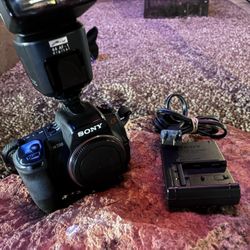 Sony A350 Digital Camera