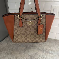 Brand Inspired Purse 