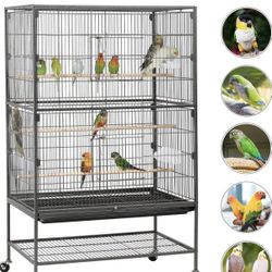 Bird Cage 