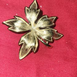 Women's Goldtone Metal Flower Brooch