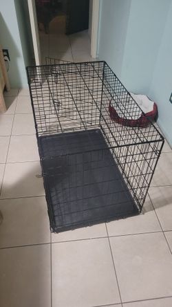 Medium To Large Kennel