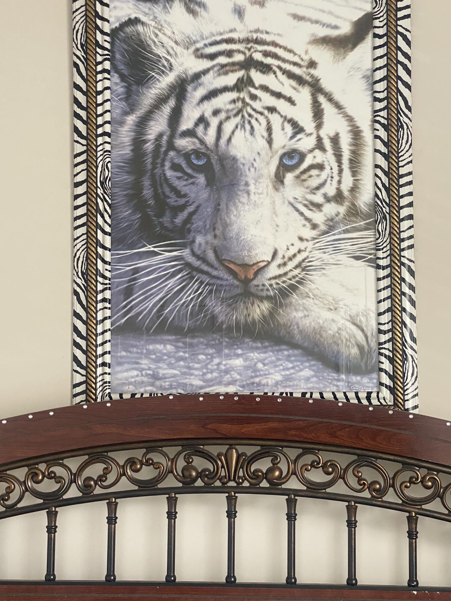 White Tiger Picture