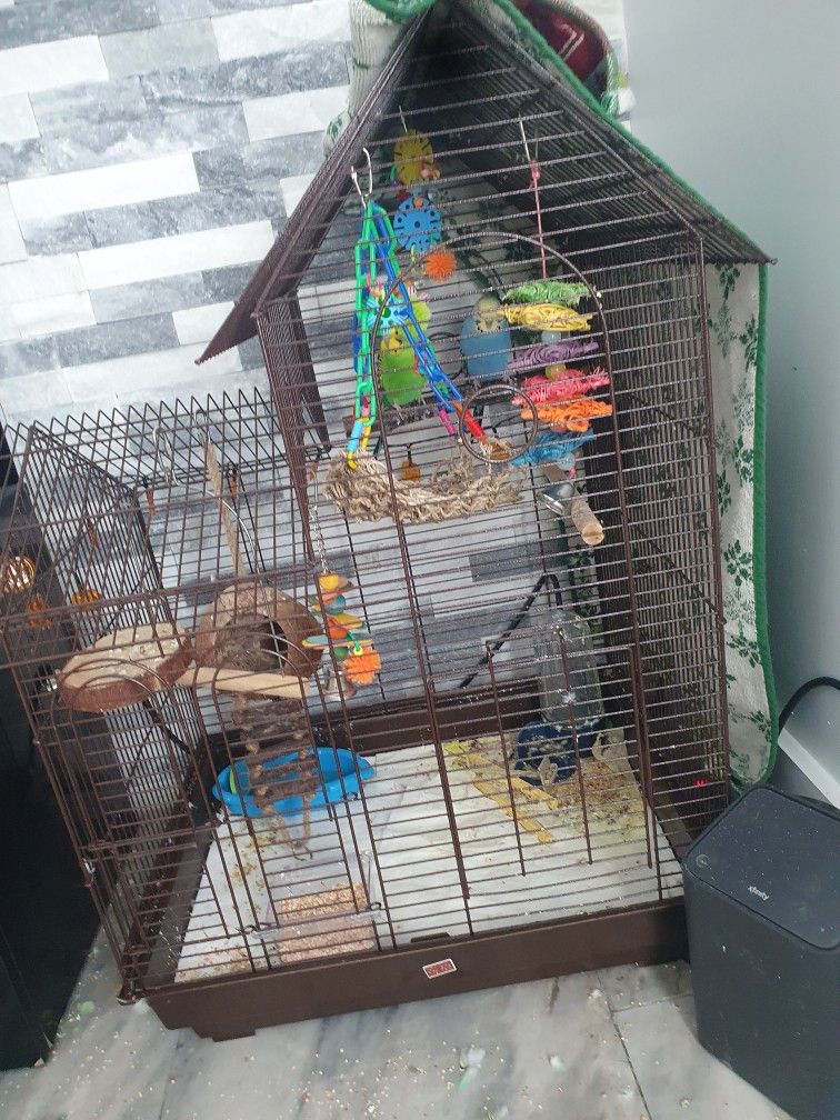 Bird Cage Wth Birds And Accessories