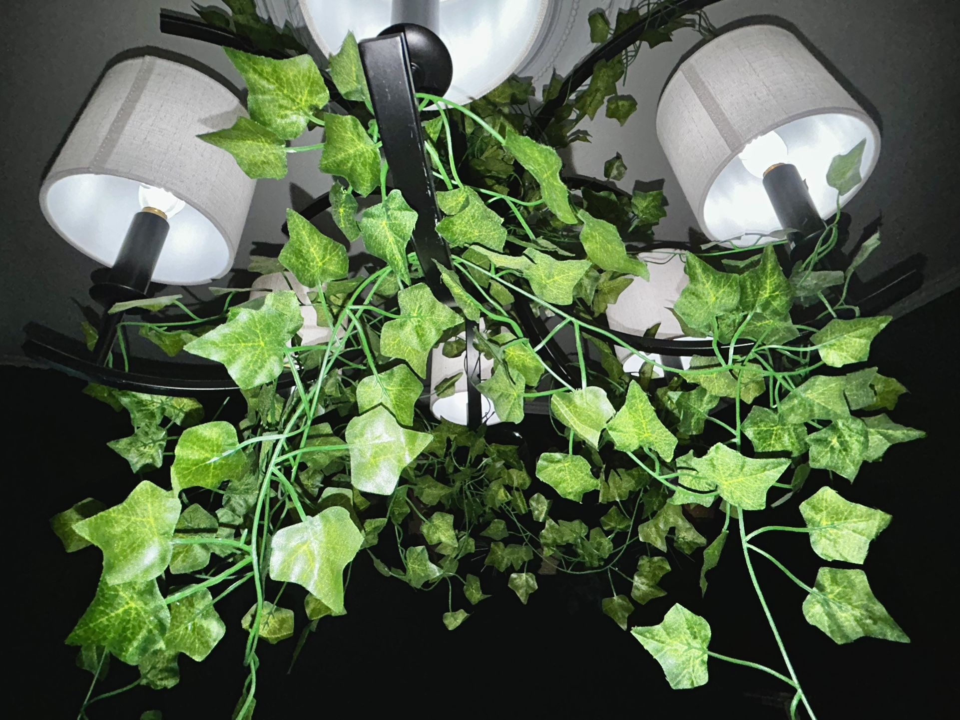 Artificial Vines
