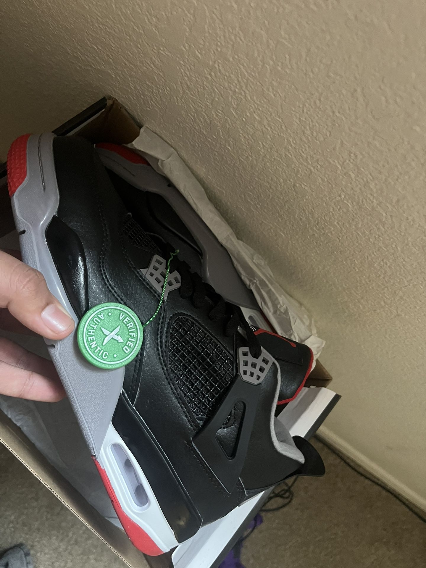 Jordan 4 Bred Reimagined Size 10
