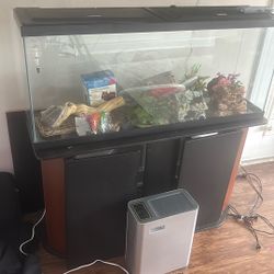 75 Gallon Tank 