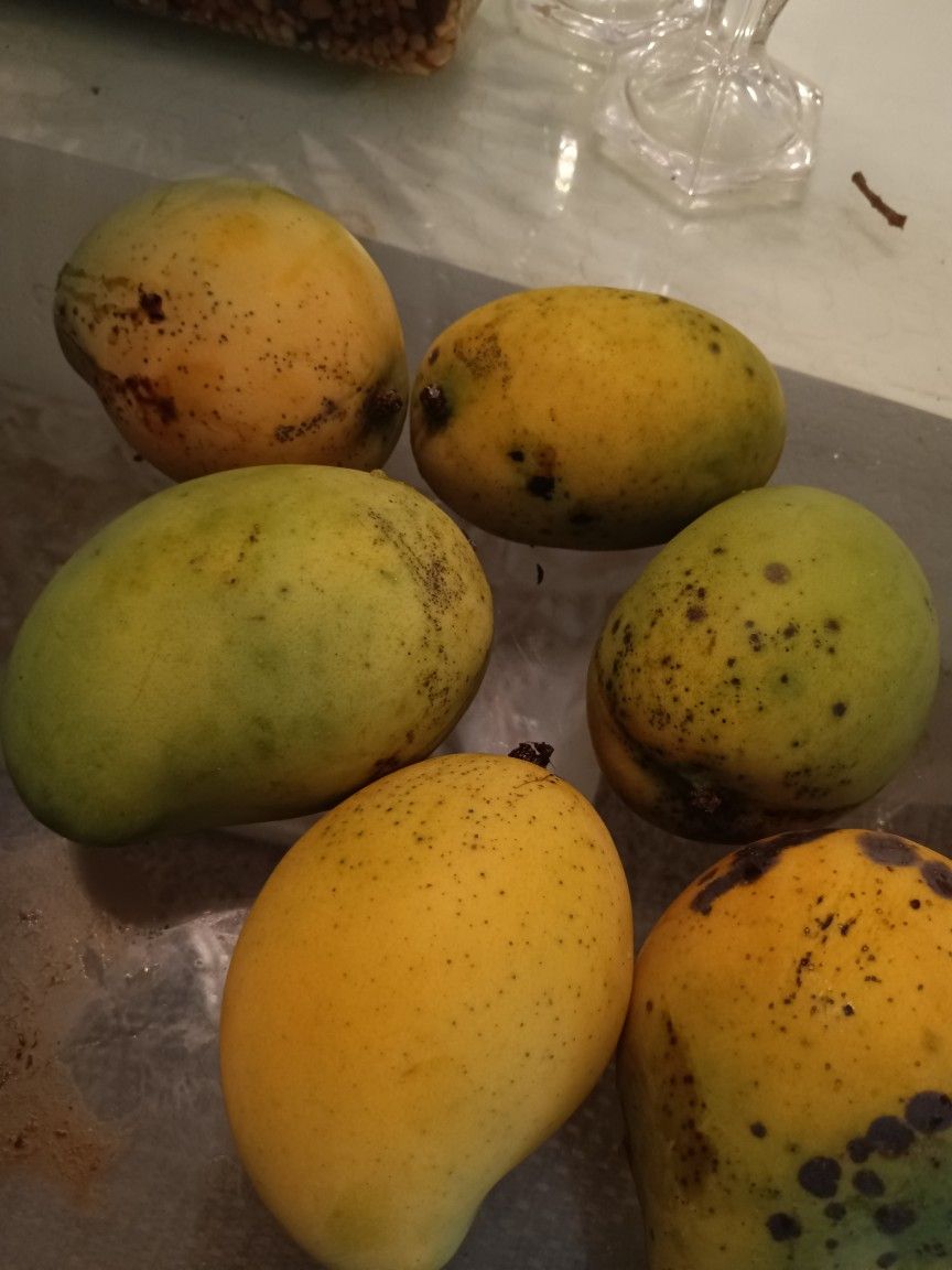 Mango Blanc $2