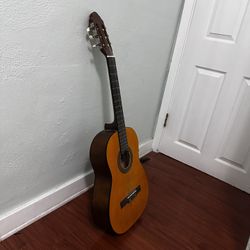 Acoustic Guitar