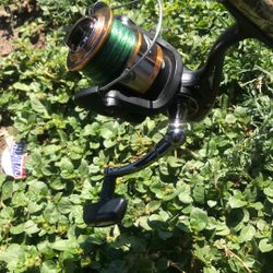 Nice Reel 