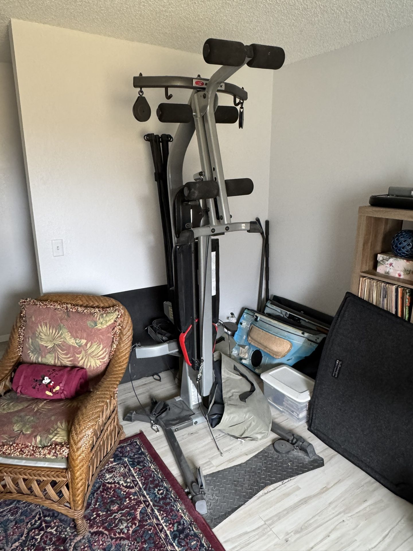 Bowflex Blaze Home Gym