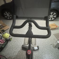 Peleton Bike (weights and shoes included)