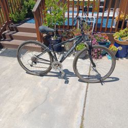 Used 21 Speed Comfort Bike