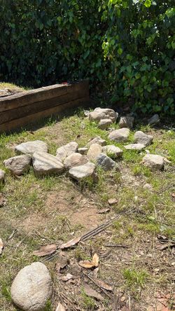 *FREE ROCKS* Delivery available La Cañada