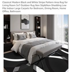Classical Modern Black and White Stripe Pattern Area Rug for Living Room 5x7 Outdoor Rug Non Slip&Non-Shedding Low Pile Indoor Large Carpets for Bedro