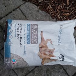 Paper Cat Litter