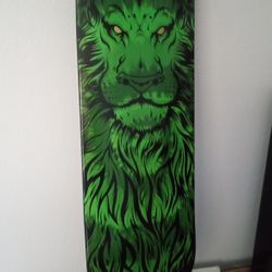 Skateboard Deck New 