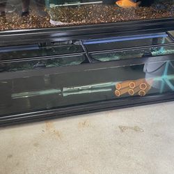 Rare 33 Long Fish Tank 