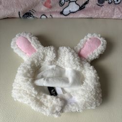 Pet Bunny Ears