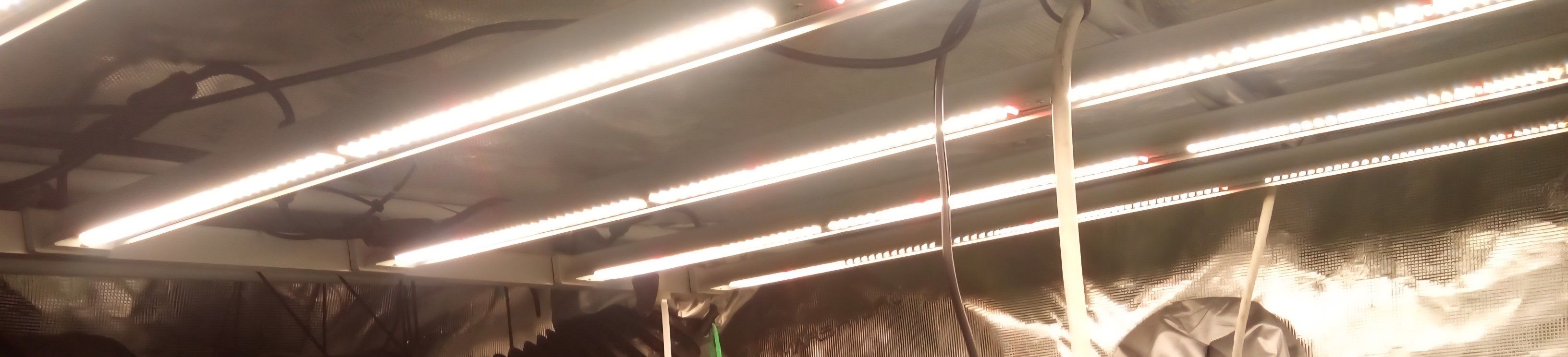 Mars hydro FCE 6500 Grow Light