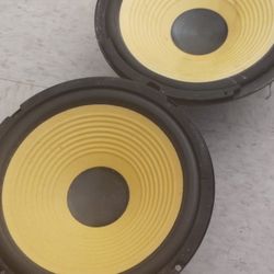 Two 10" Music Speaker  