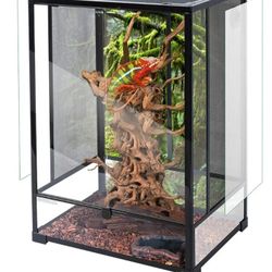 Reptile Habitat Terrarium