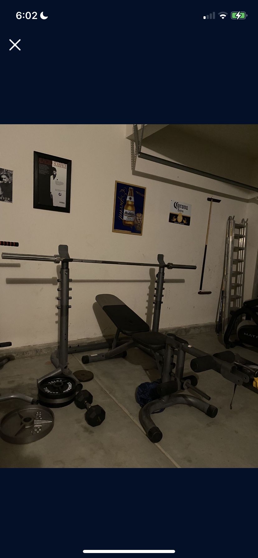 Bench Press With Bar And Weights