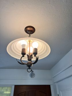 Dark bronze and glass light fixture