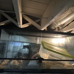 Terrarium & Aquariums Available Different Size Gallons Message Me For Price And Details , Deals Available On A Same Day Pick Up Only! 