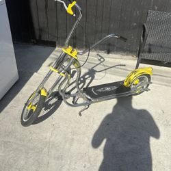 Sting Ray Scooter 