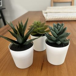 Artificial Plants, Take All 