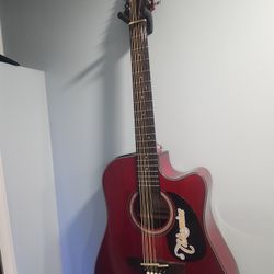 Takamine 