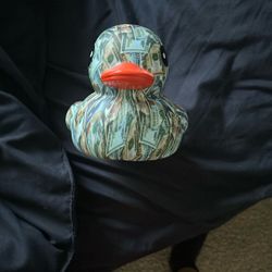 Pool Duck Toy