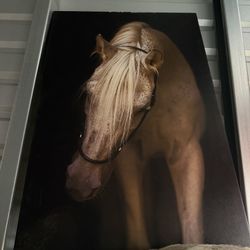 Big Canvas Horse Picture 