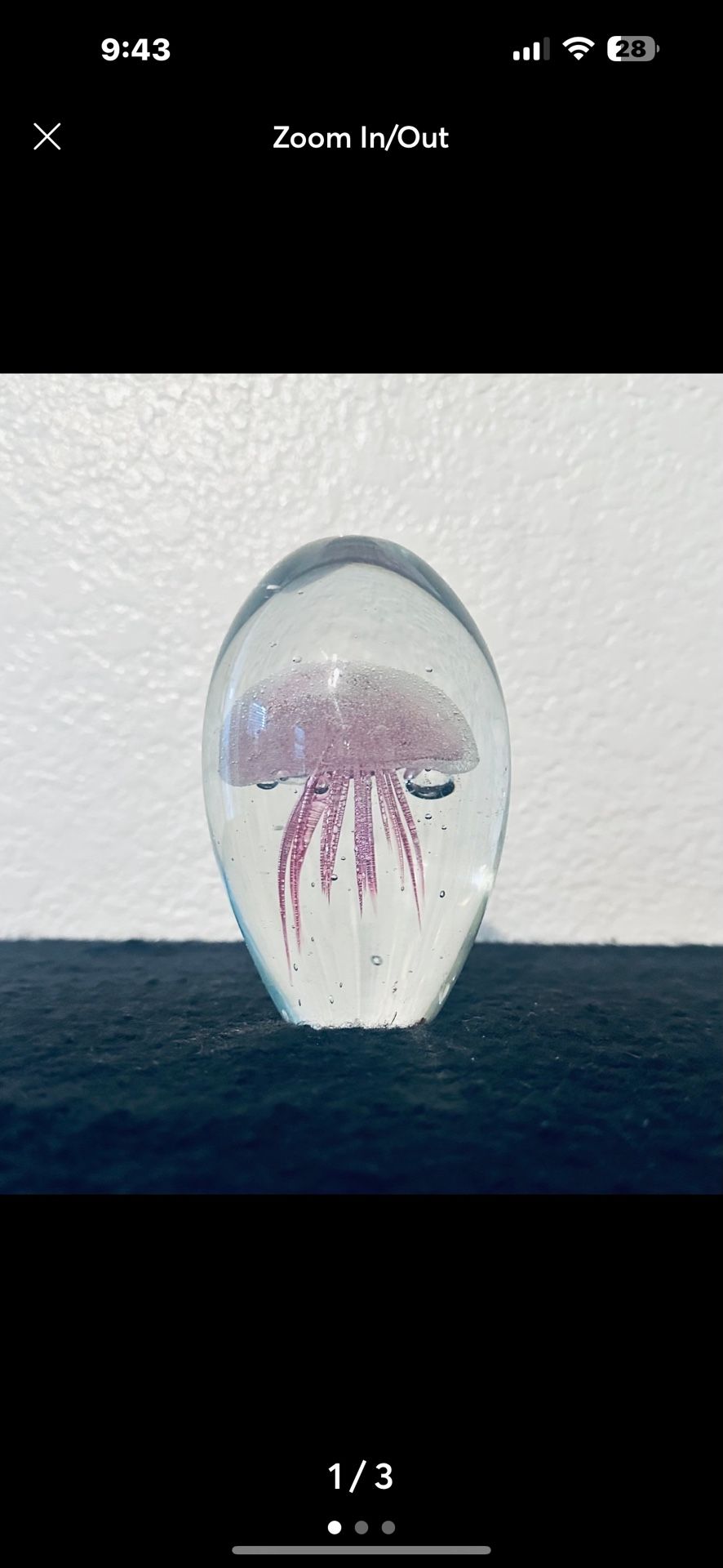 Jellyfish Paperweight