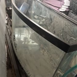 60 Gallon Fish tank Redone Calking 