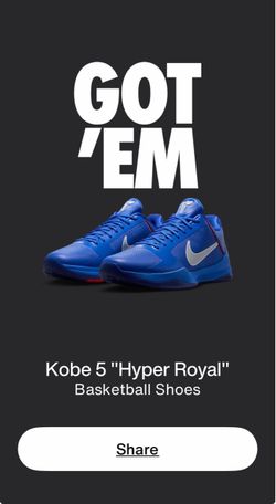Kobe V Pronto
