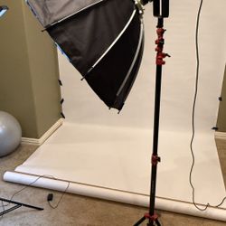 NEEWER Video Light, 85cm Parabolic Soft Box & Heavy Duty Stand