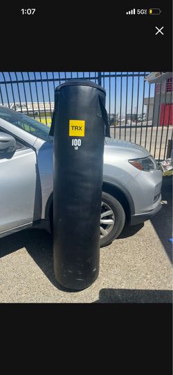 100lbs boxing bag