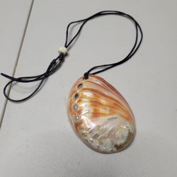 Abalone And Resin Necklace