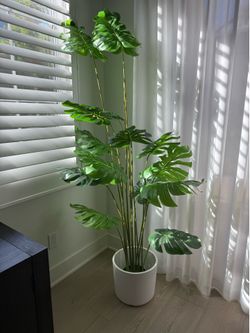 6ft faux indoor plant