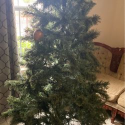 Pino De 7 Piez $35.00 No Funcionan Luces 