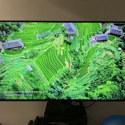 Samsung 65-inch flat-screen, 4K Ultra HD (3840 × 2160) LED display